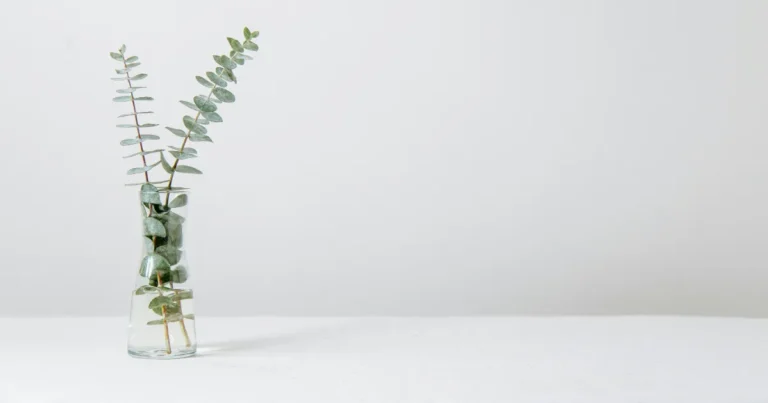 Poner Fondo Blanco a Una Foto en Photoshop