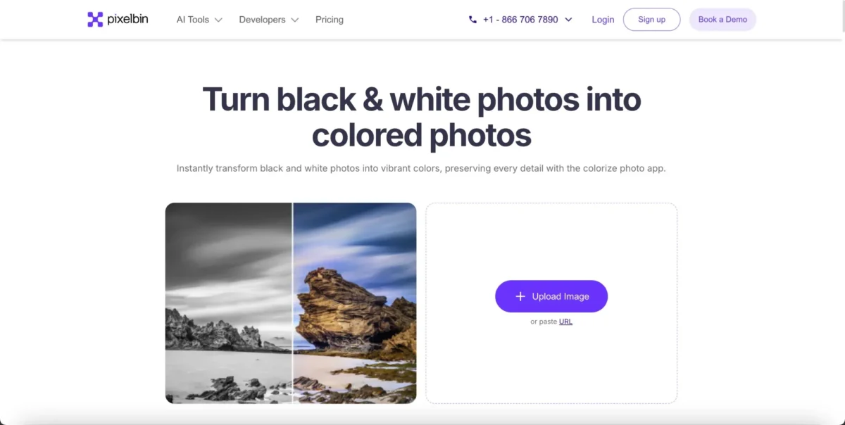 Bild kolorieren mit PixelBIn