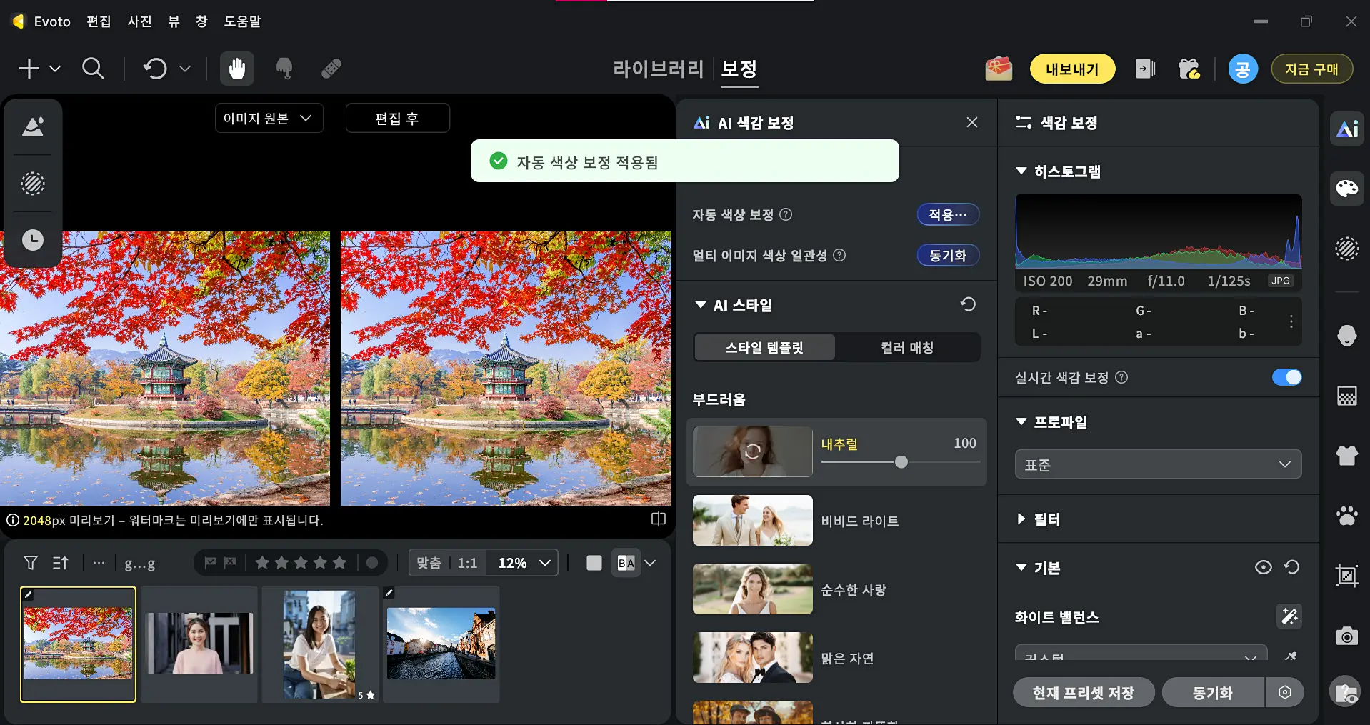 AI사진 색감 보정으로 사진 색감 맞추기