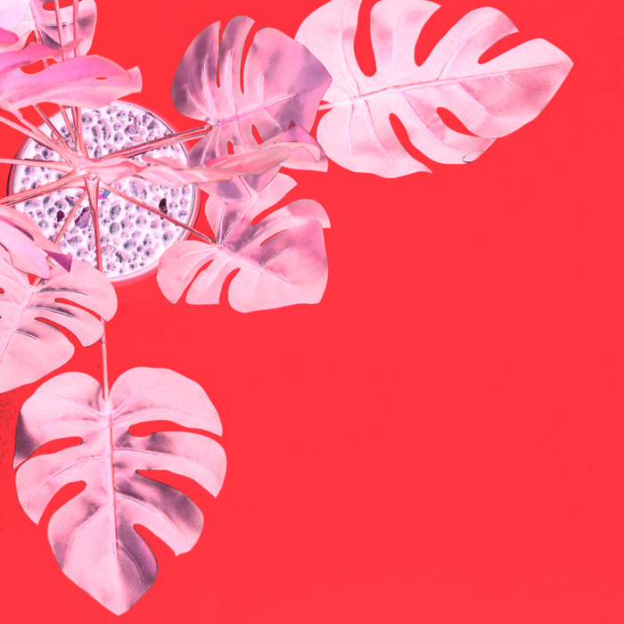 After color inversion showing complementary swap opposite color of green to magenta