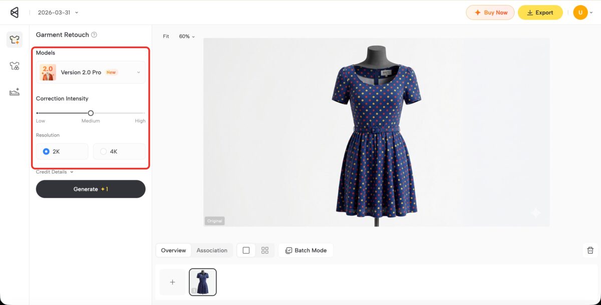 Choose Processing Level and Resolution