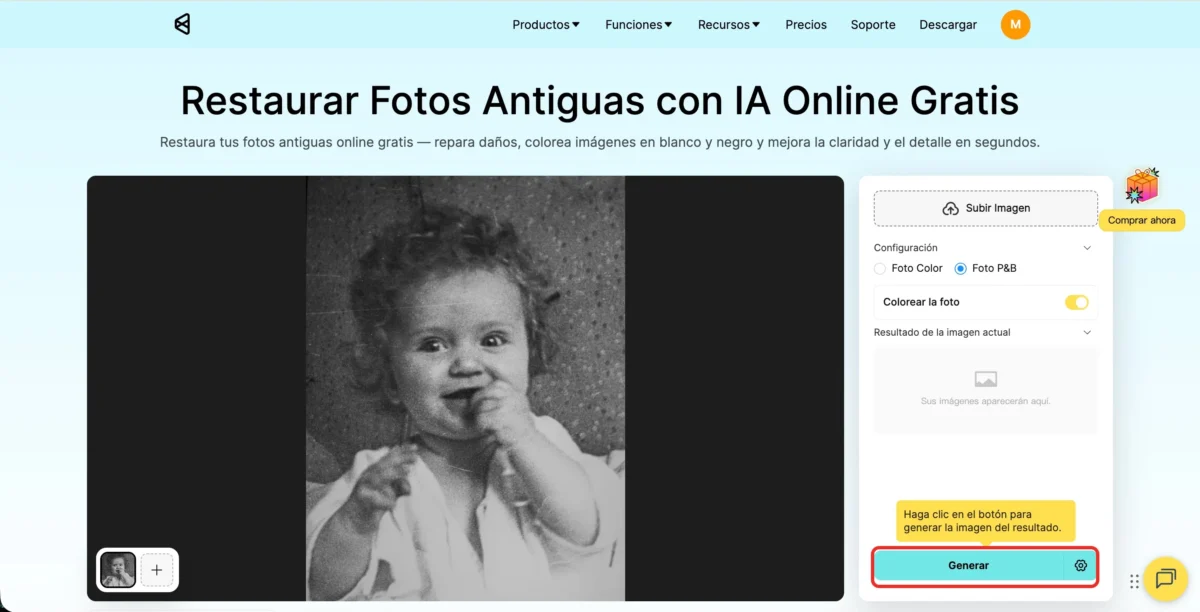 Elegir el tipo de restauracion