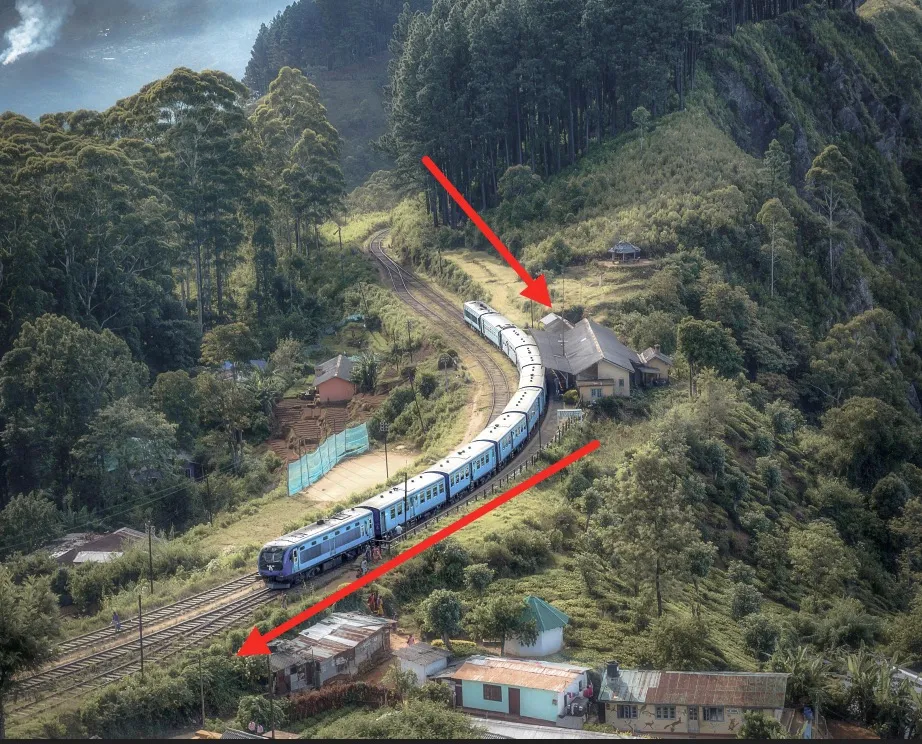 Road leading through forest demonstrating leading lines in photo composition.