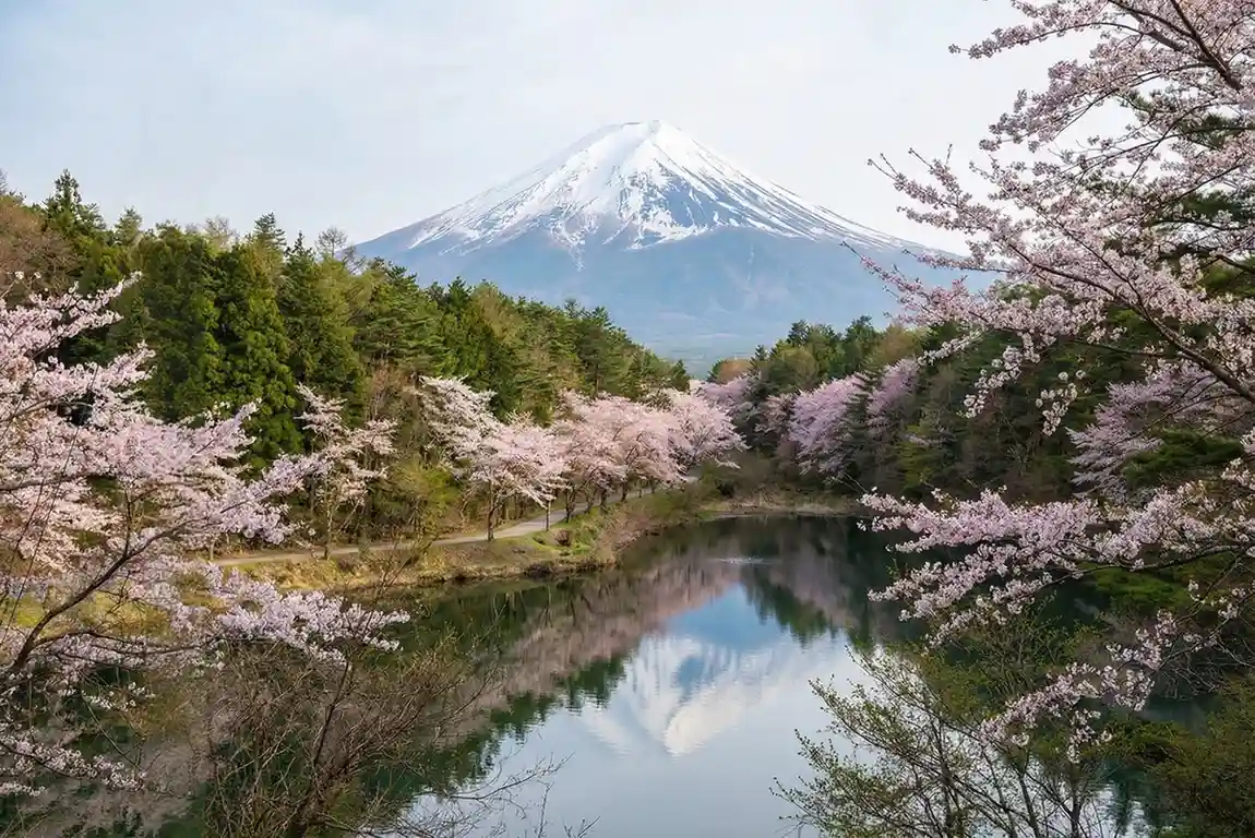 写真の電線を消した後の状態