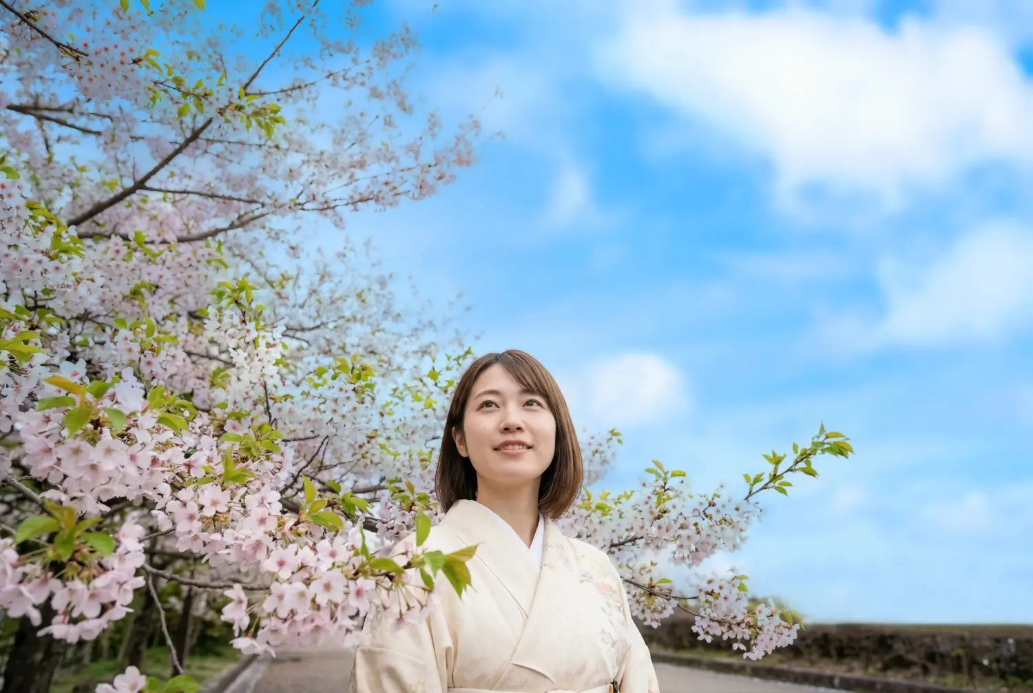 空を置き換えた後の桜写真