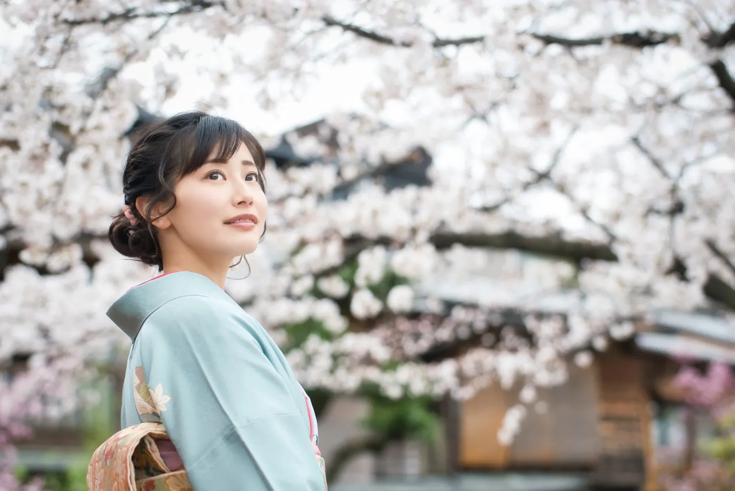 桜ポートレートをレタッチした後の状態