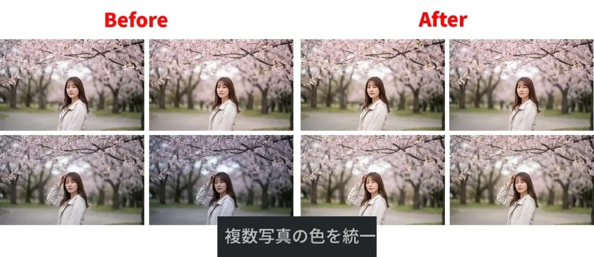 複数の桜写真の色統一補正前後の比較