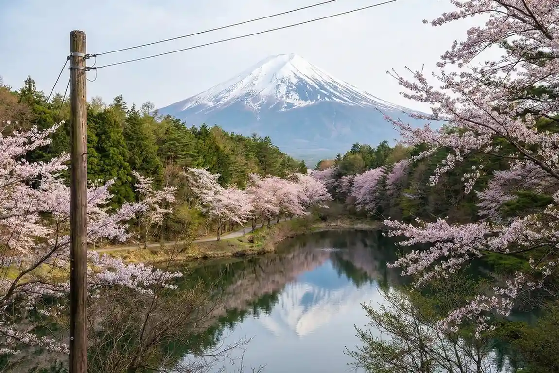 写真の電線を消す前の状態