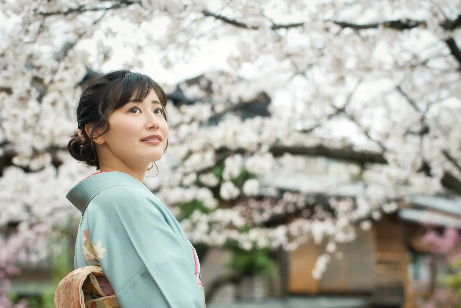 レタッチを行う前の桜ポートレート
