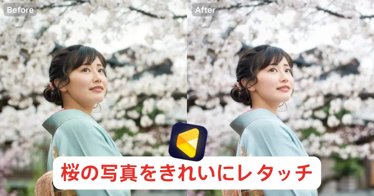 cherry blossom photo editing 桜の写真をもっと美しく編集|Evotoで春らしい透明感と自然なピンクを引き出す