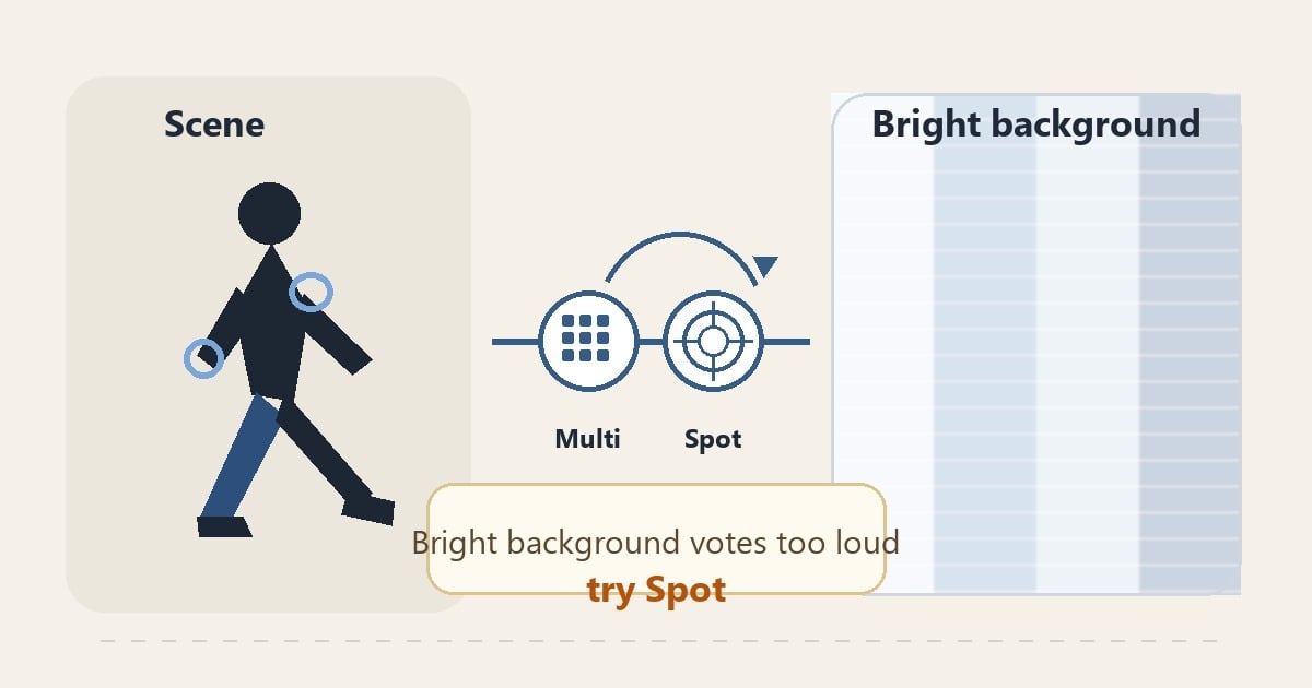step 2 multi to spot decision sports