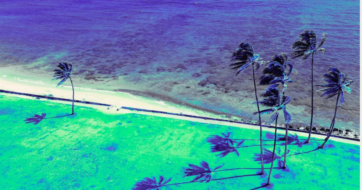 Comment inverser les couleurs (outils et étapes inclus)