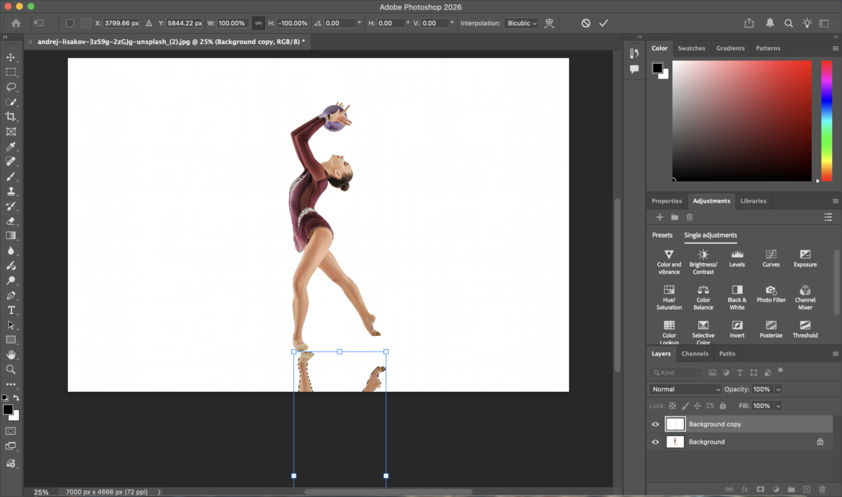 Flip the duplicated layer vertically