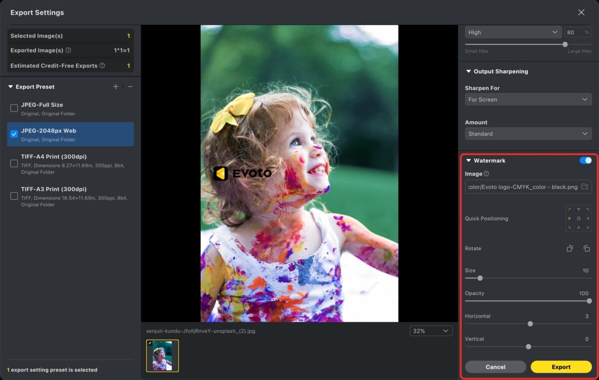 Go to the Export panel and enable the Watermark option
