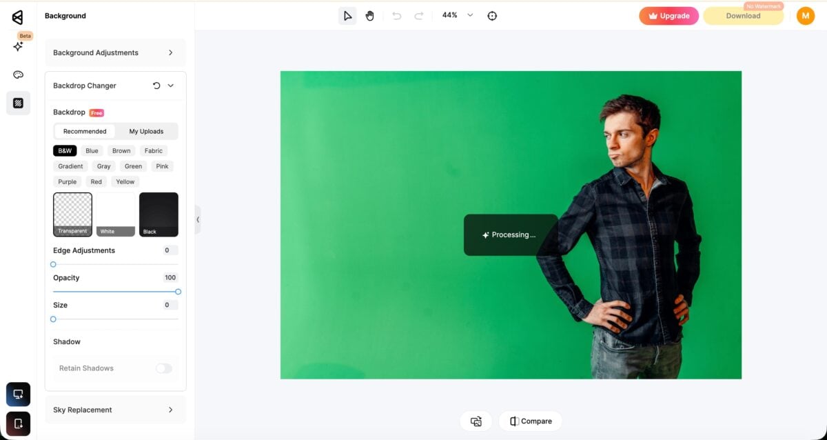 Remove the green background with AI