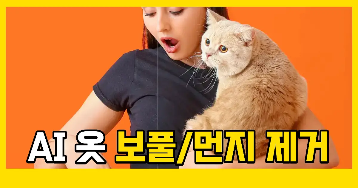 사진 속 옷 먼지 제거 방법