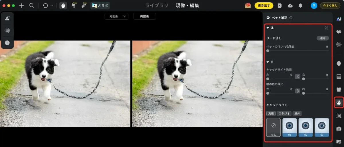 evotoペット補正機能・リード消しなど