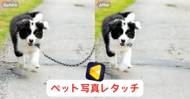 ペット写真レタッチ
