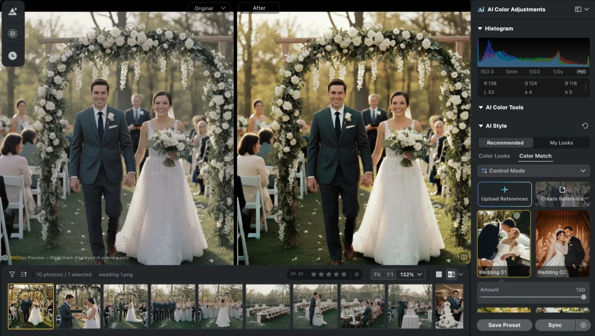 ai color looks in photography workflow
