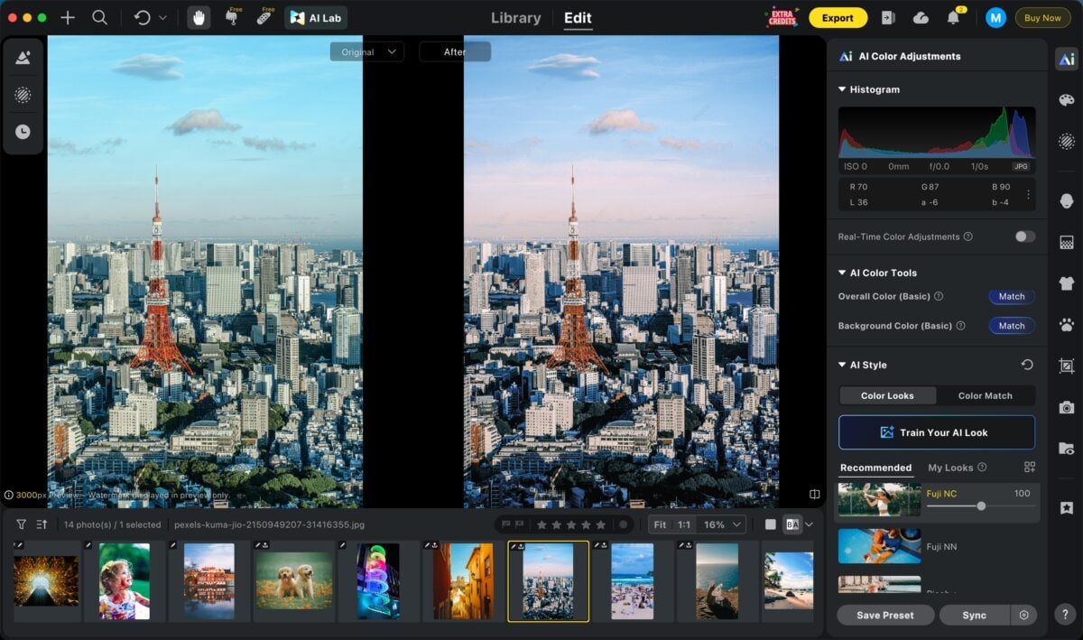 color looks rule of thirds in photography