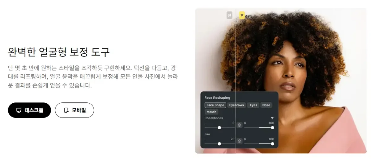 얼굴 대칭 필터 편집 도구