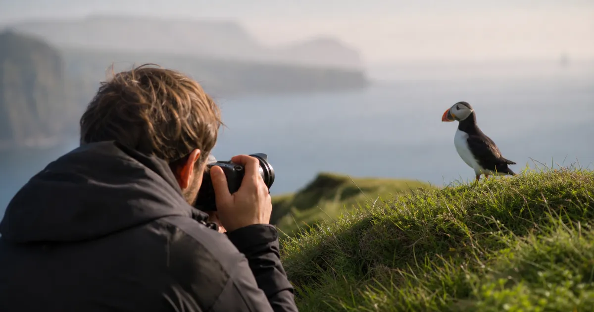 Focal Points in Photography: How to Make Your Subject Clear