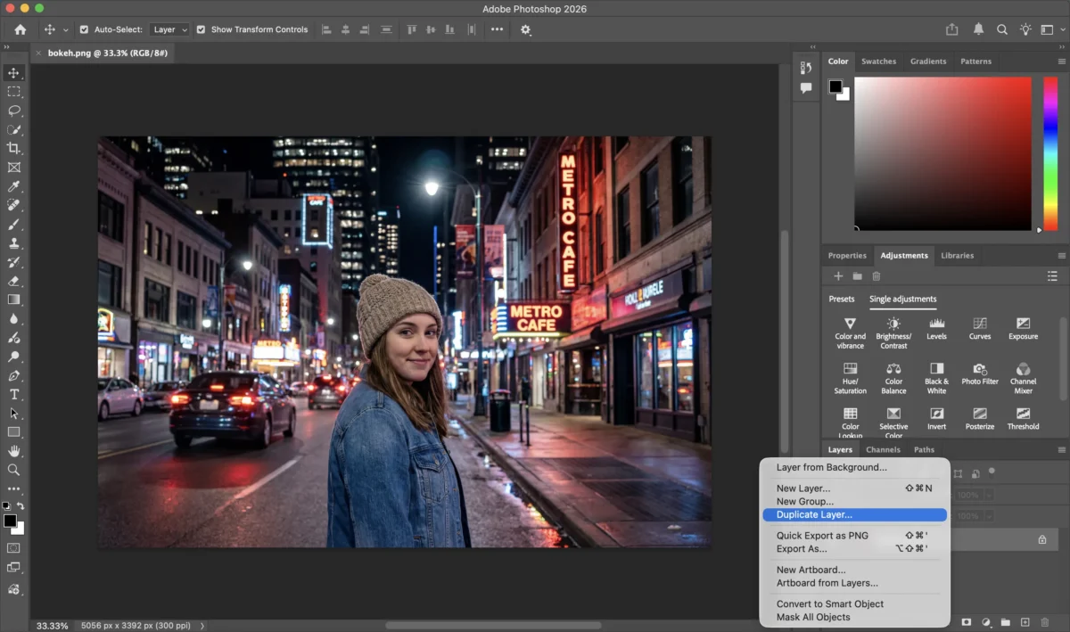 Open the image and duplicate the background layer