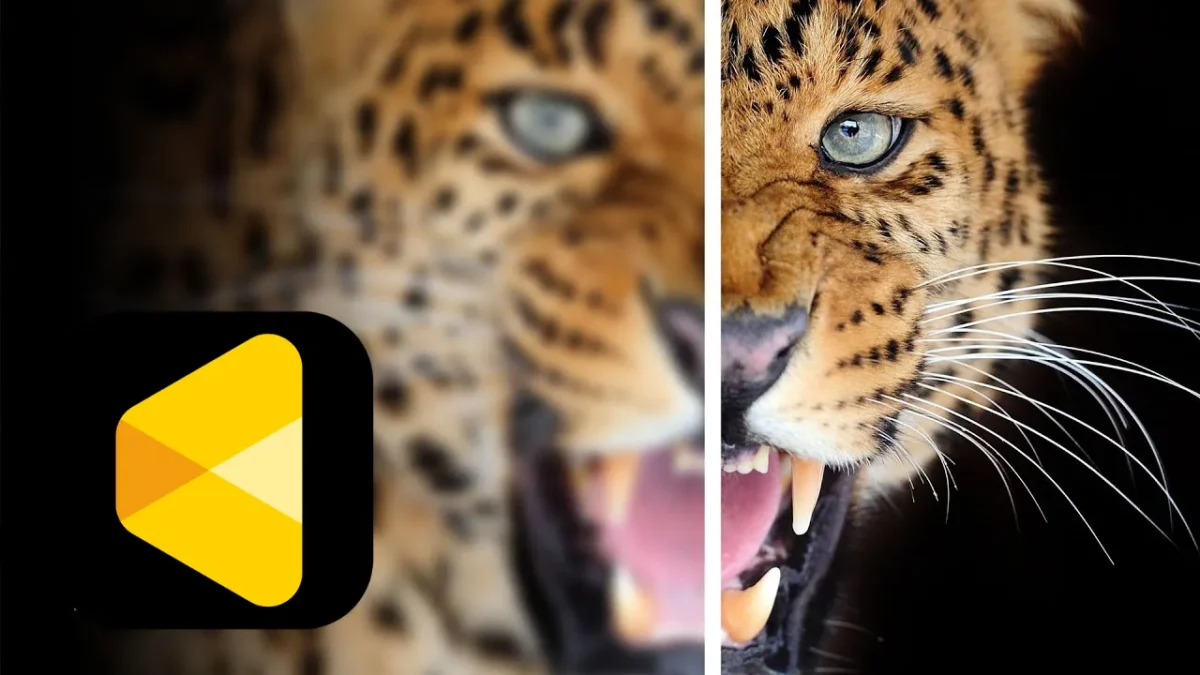 Bilder schärfen mit einem Foto-Editor