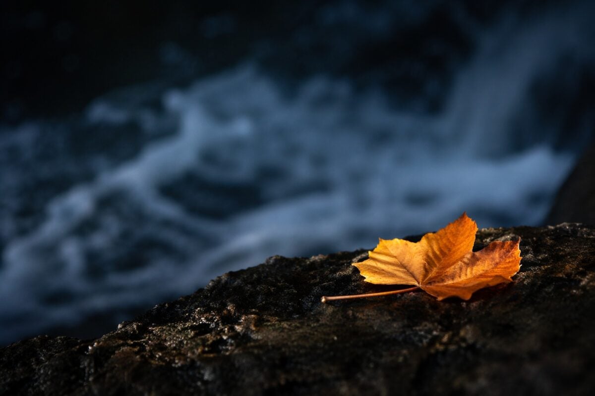 Light dark color and texture differences creating contrast in a real frame
