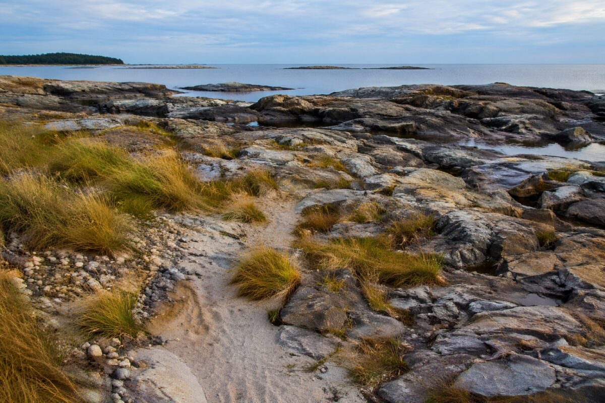 High horizon landscape composition emphasizing foreground rocks and path texture