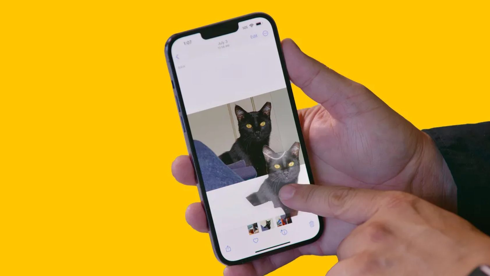 Apple Photos no iPhone usando pressionar e segurar para tirar fundo de foto e destacar o sujeito
