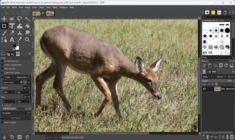 Interface do GIMP editor de fotos em 2026 com painéis de edição abertos