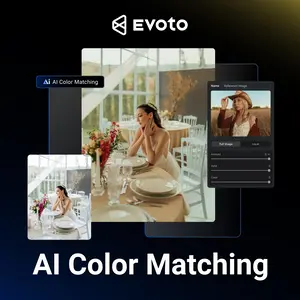 AI Color Match Post Sidebar DE