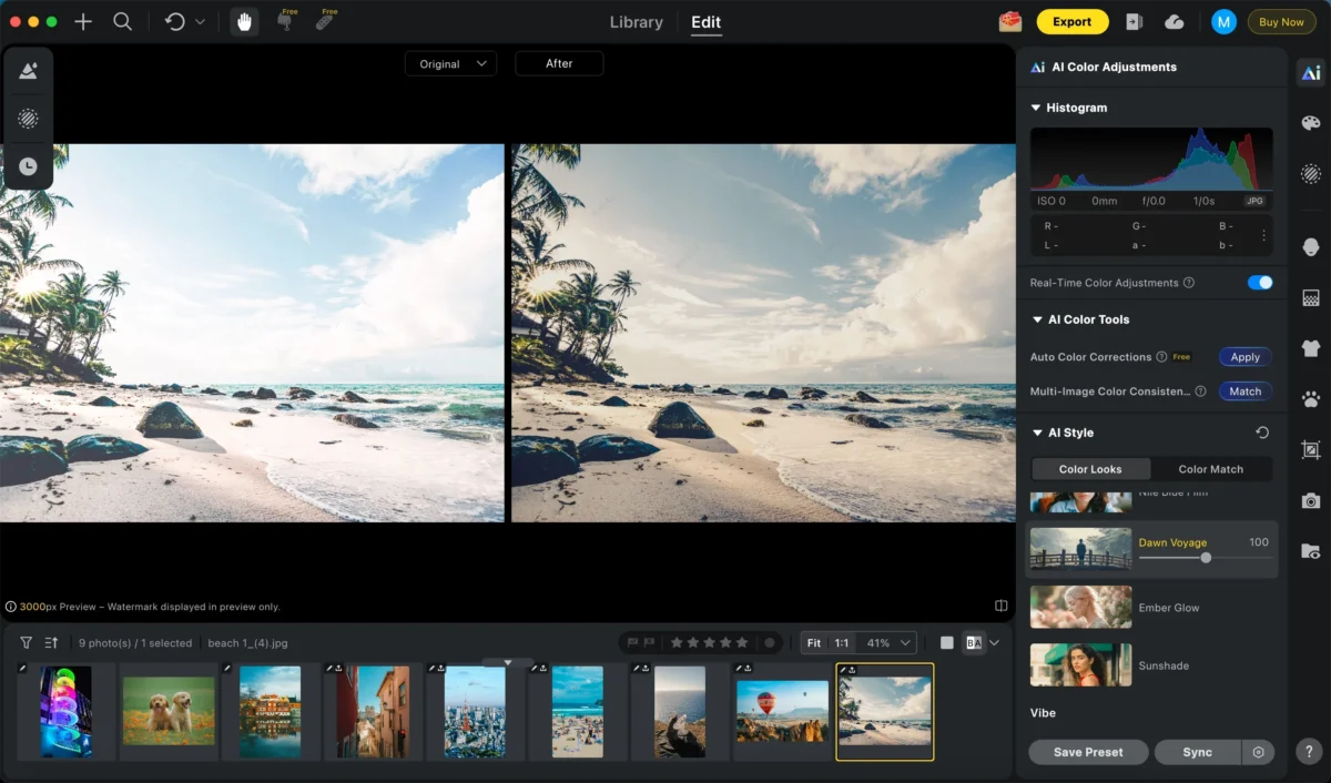 Appliquer un filtre à une photo dans Evoto AI