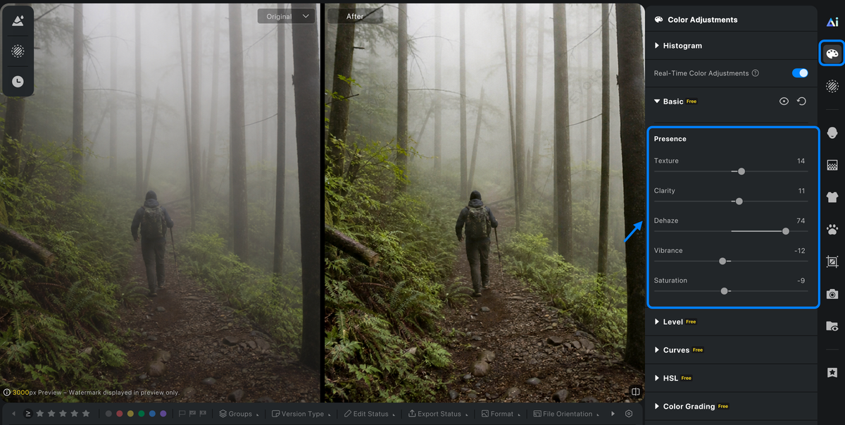 Apply Dehaze for outdoor photo