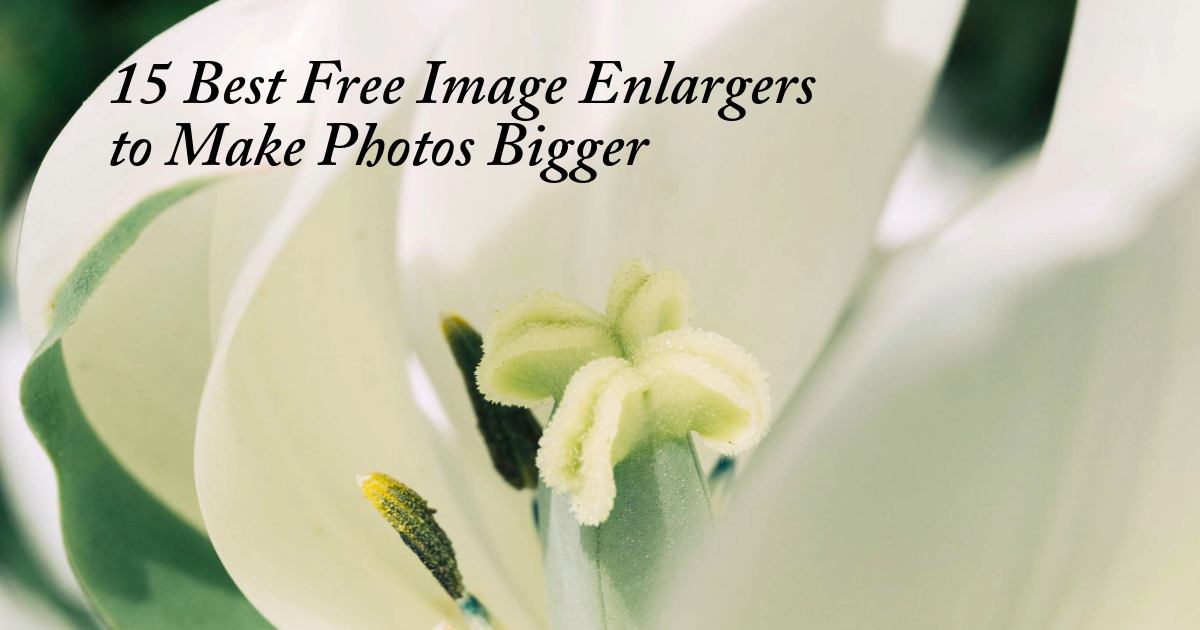 15 Best Free Image Enlargers to Make Photos Bigger Online in 2026