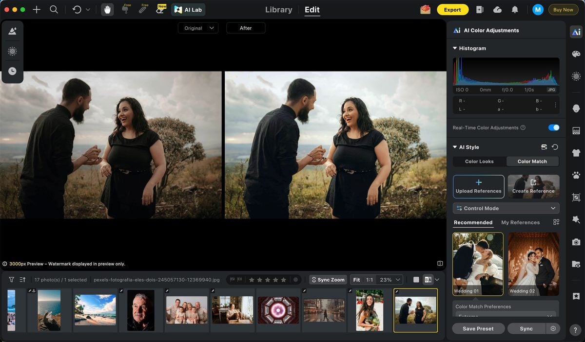 color match in elopement photography