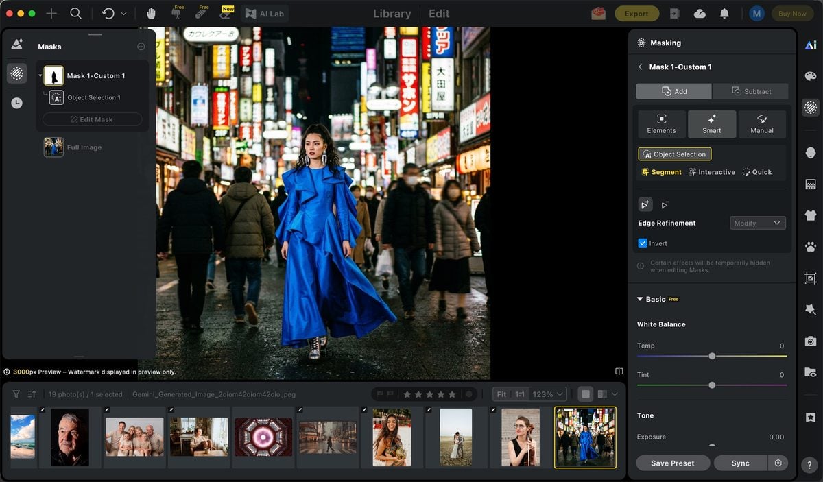 open mask select the object then invert Open Mask, select the object, then invert