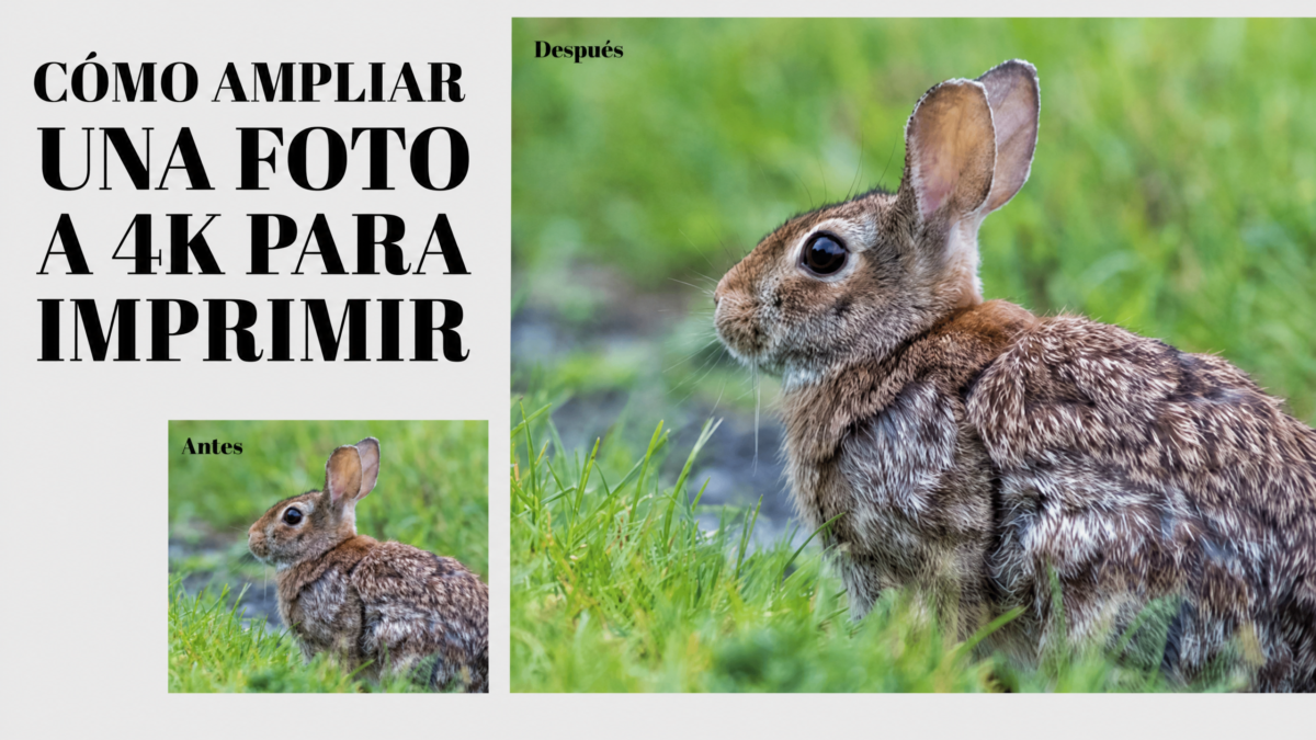Cómo escalar una foto a 4K para imprimirla