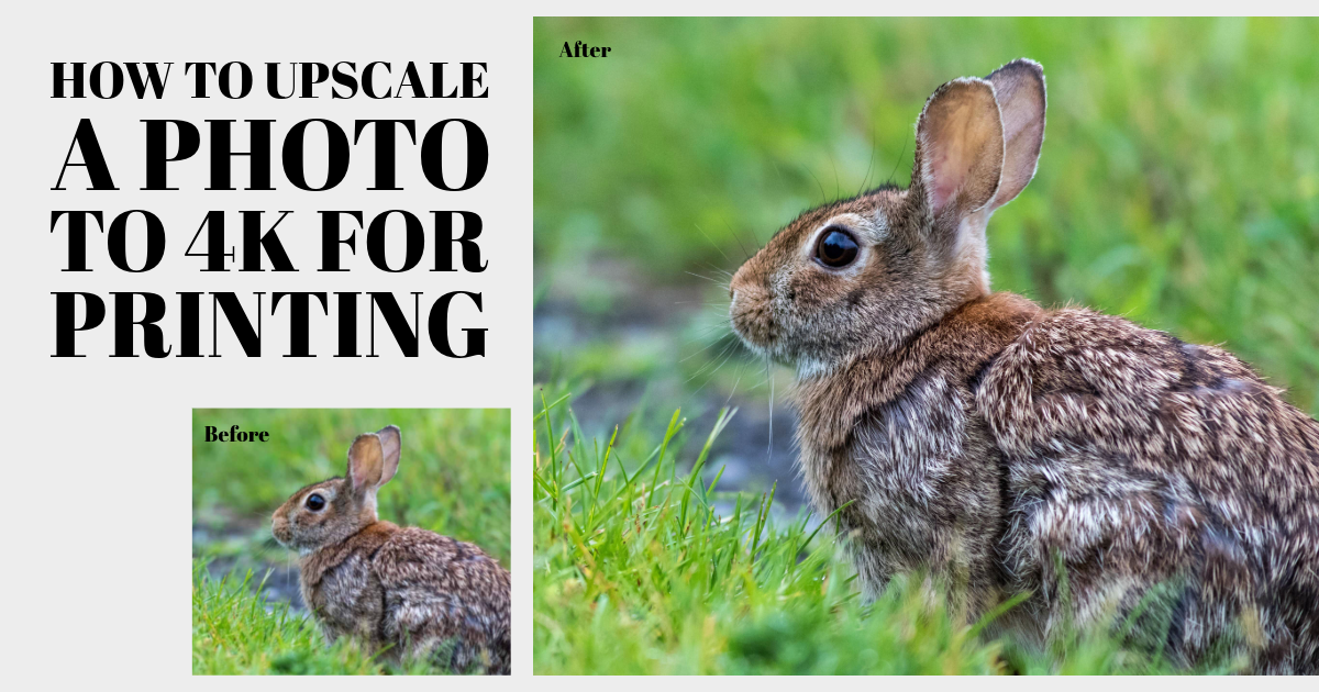 How to Upscale a Photo to 4K for Printing