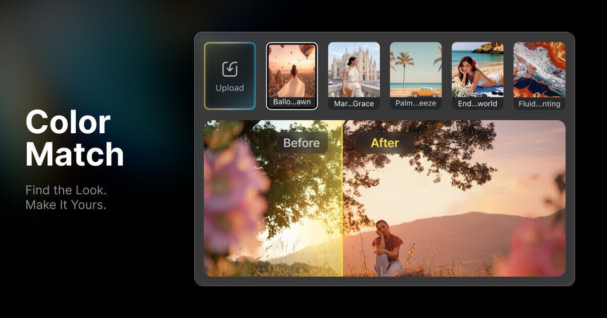 Evoto Desktop Color Match find the look before and after