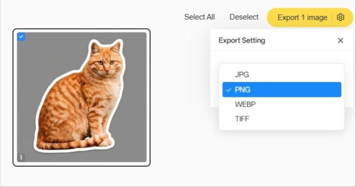 export png sticker from photo