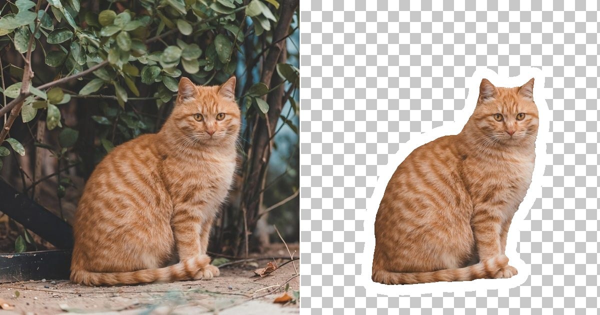 How to Make Stickers from Photos: Fast Web Guide