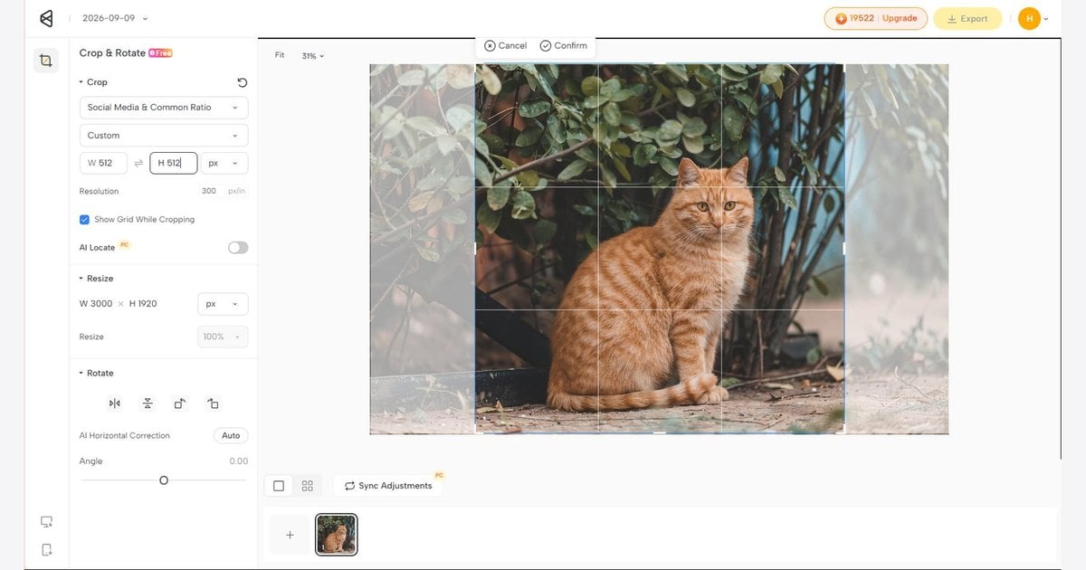 probar una pegatina de WhatsApp sobre fondos claros y oscuros