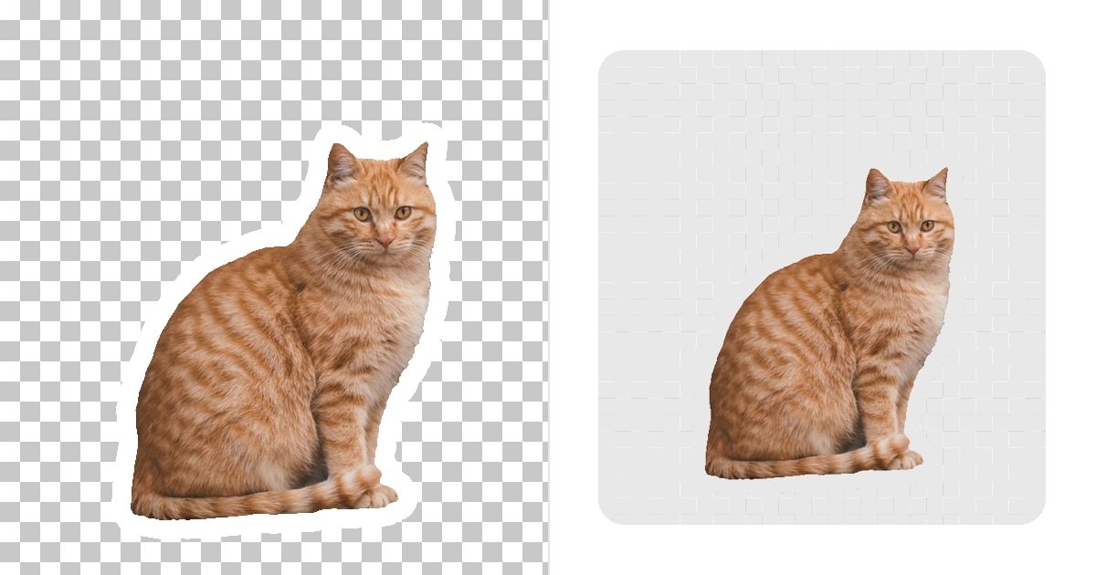 transparent sticker versus solid background square sticker