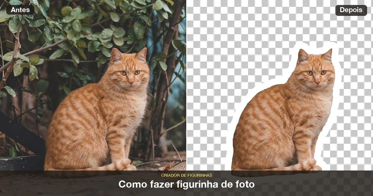 capa-como-fazer-figurinha-de-foto